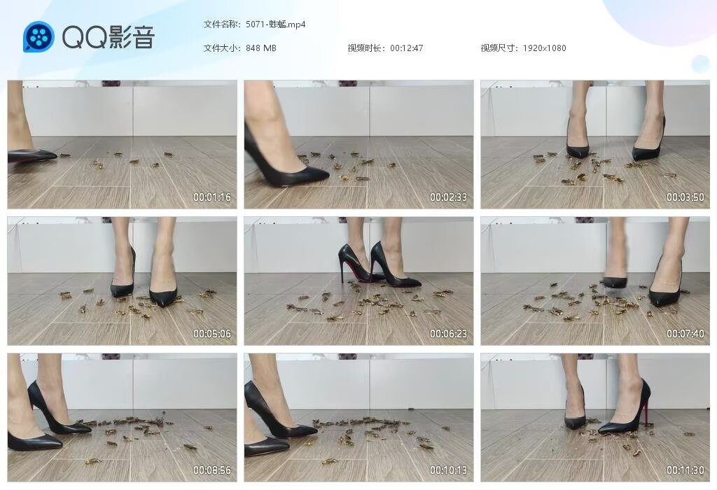 5071-蚱蜢[20250